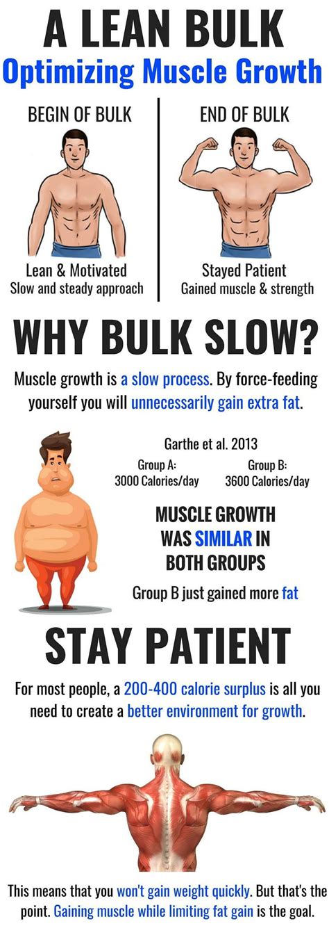How to Gain Weight, Increase Muscle Mass, & Stay .